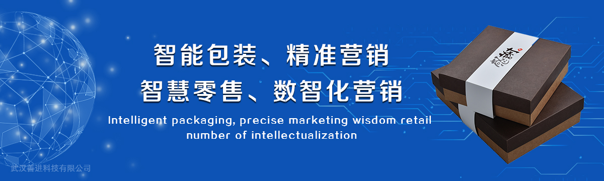 數(shù)字營(yíng)銷 - 武漢善進(jìn)科技有限公司
