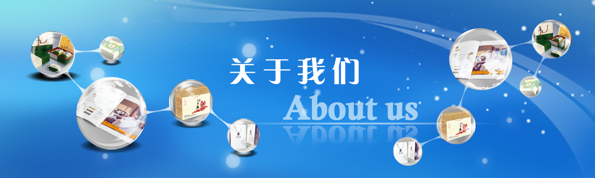 關(guān)于善進 - 樹立品牌形象，規(guī)范行業(yè)標準，引領(lǐng)行業(yè)發(fā)展 - 武漢善進科技有限公司